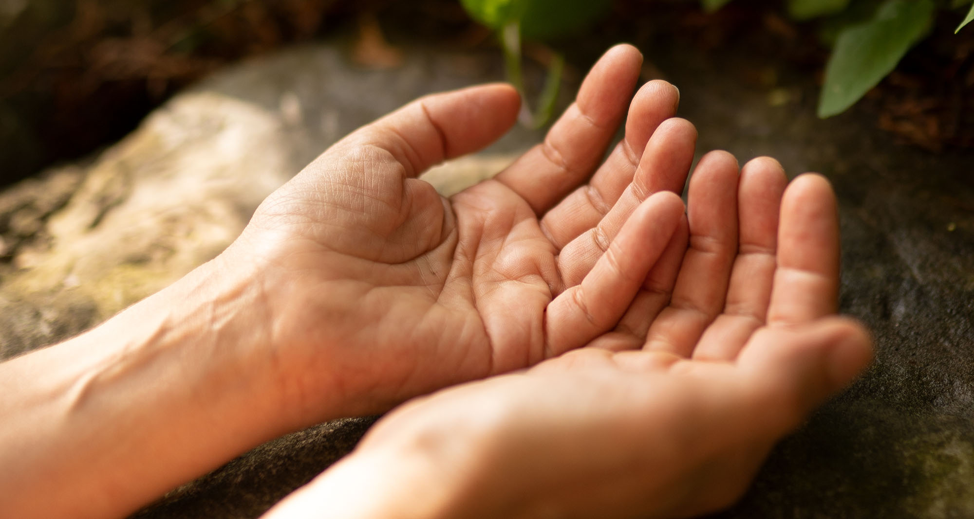Craniosacrale Entspannung Dagmar Schindler